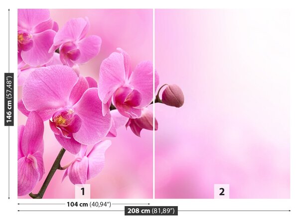 Fototapet roz Orhidee