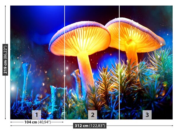 Fototapet Ciuperci forestiere