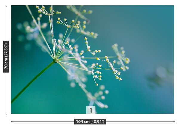 Fototapet floare de mărar