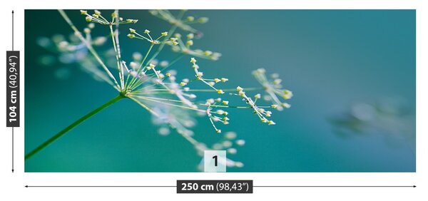 Fototapet floare de mărar