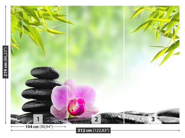 Fototapet Orchid și pietre