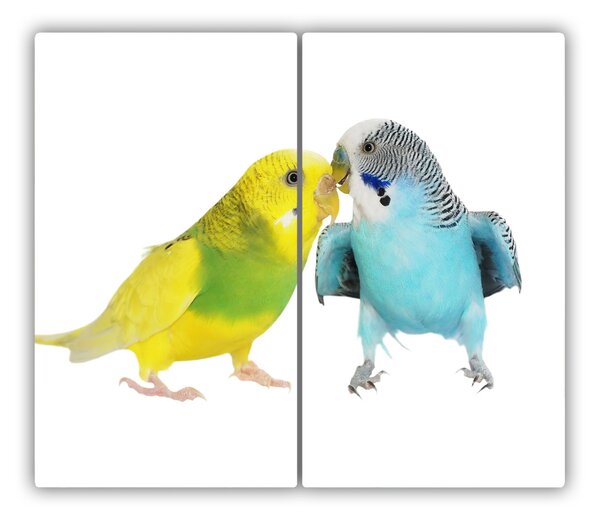 Tocator din sticla Budgies