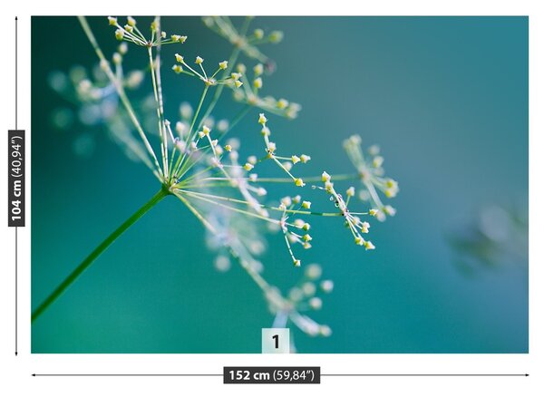 Fototapet floare de mărar