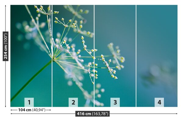 Fototapet floare de mărar