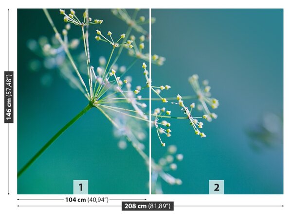 Fototapet floare de mărar