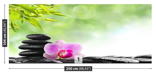 Fototapet Orchid Stones