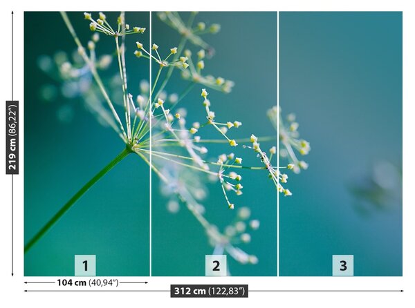 Fototapet floare de mărar