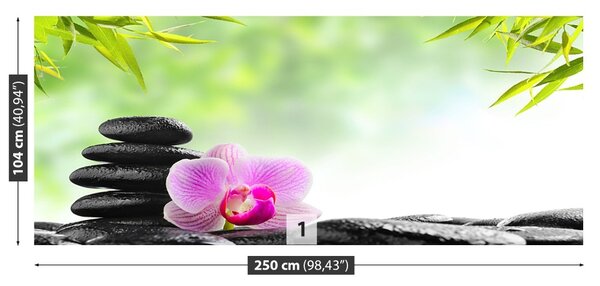 Fototapet Orchid și pietre