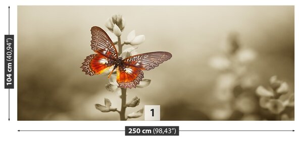 Fototapet fluture flori