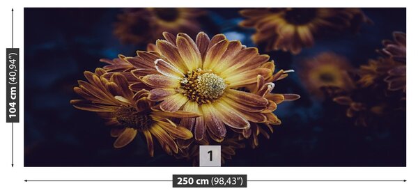 Fototapet Floare galbenă