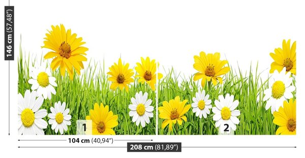 Fototapet Iarbă muşeţel