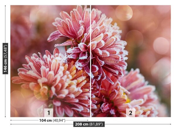 Fototapet Aster Ice roz
