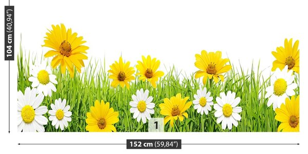 Fototapet Iarbă muşeţel