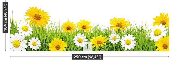 Fototapet Iarbă muşeţel
