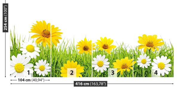 Fototapet Iarbă muşeţel