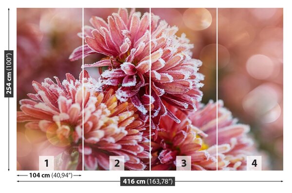 Fototapet Aster Ice roz