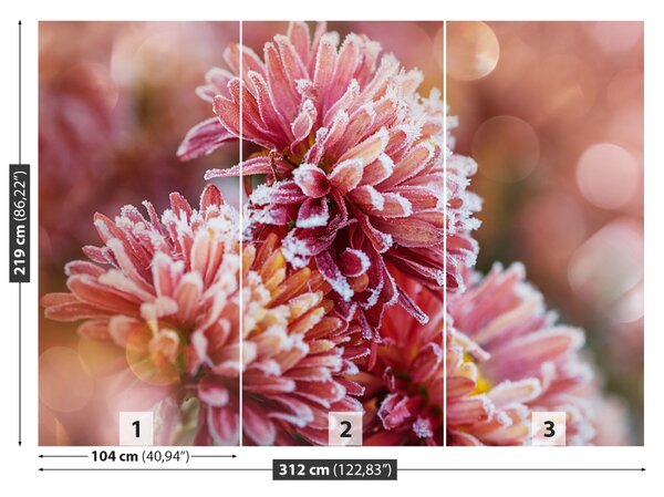 Fototapet Aster Ice roz