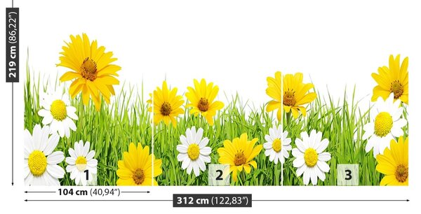 Fototapet Iarbă muşeţel