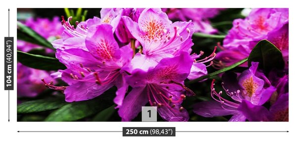 Fototapet Violet Flori