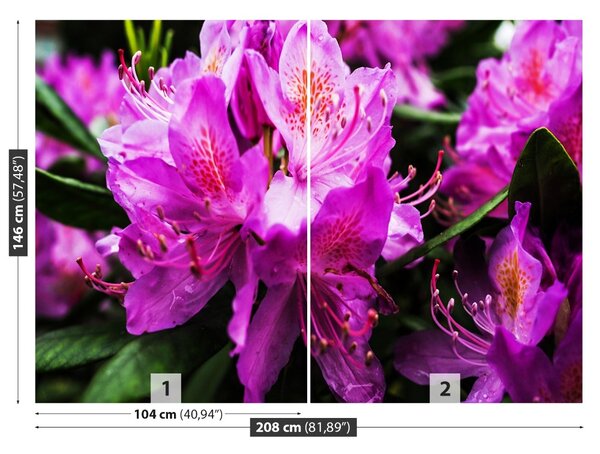 Fototapet Violet Flori