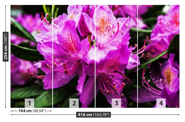 Fototapet Violet Flori