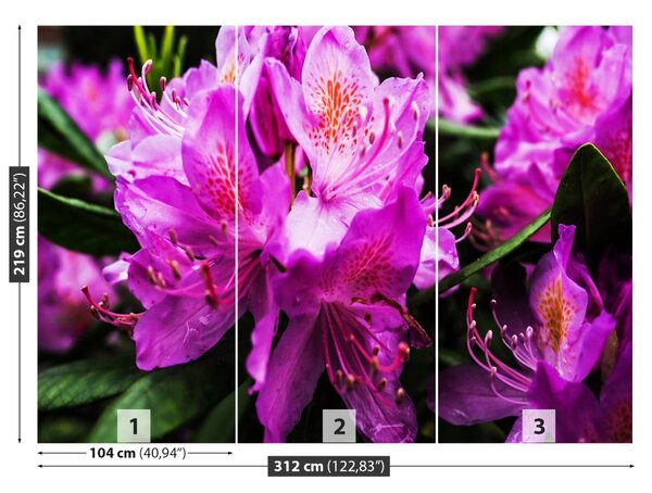 Fototapet Violet Flori