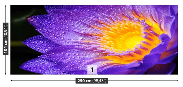 Fototapet Purple Lotus