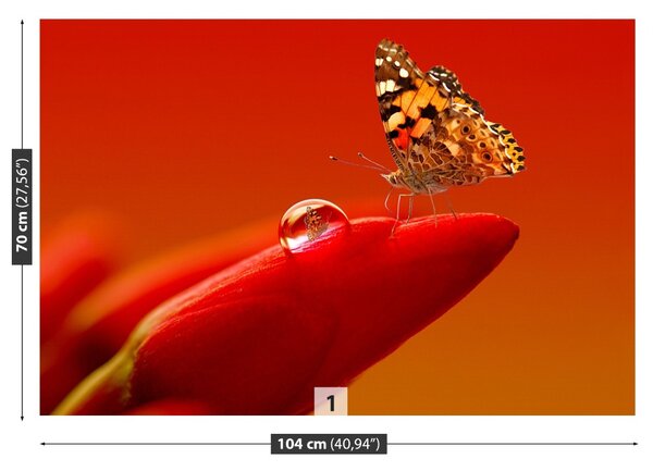 Fototapet Butterfly Tulip