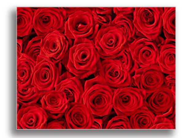 Tablou roses background, Printly