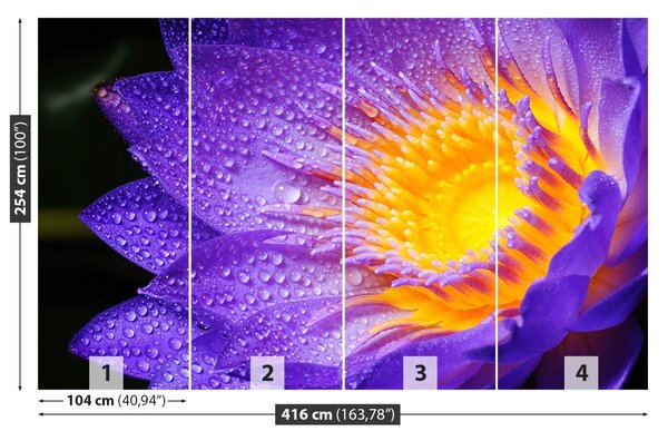 Fototapet Purple Lotus