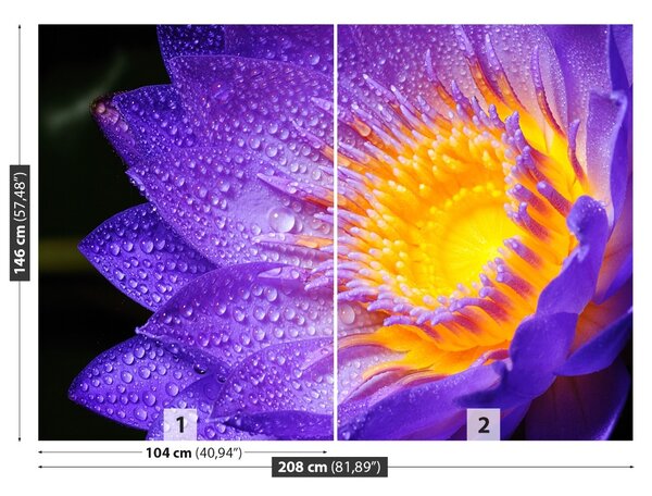 Fototapet Purple Lotus