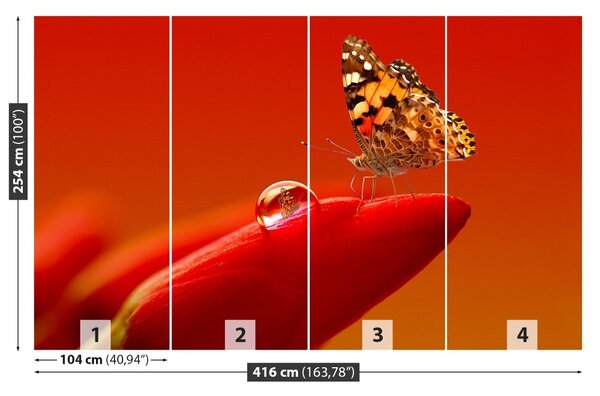 Fototapet Butterfly Tulip
