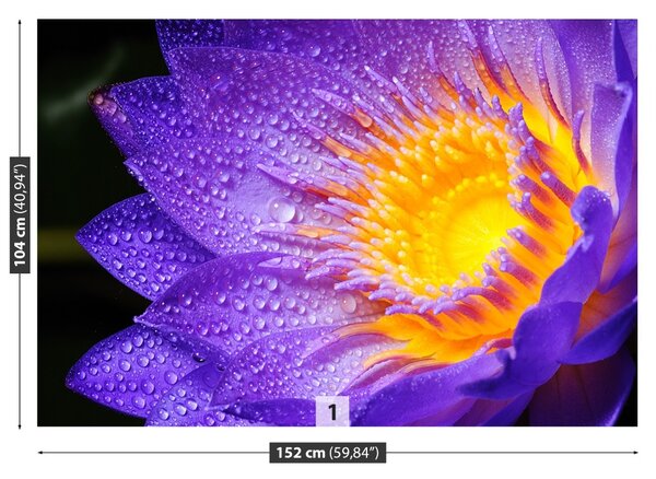 Fototapet Purple Lotus