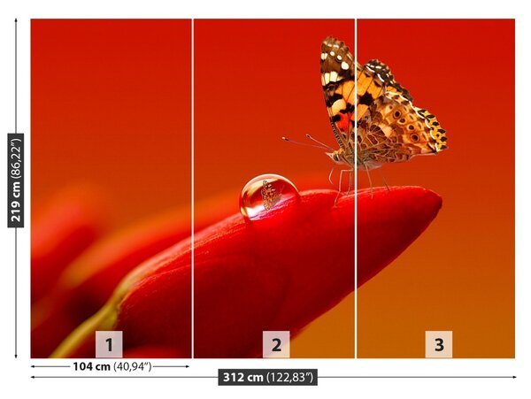 Fototapet Butterfly Tulip