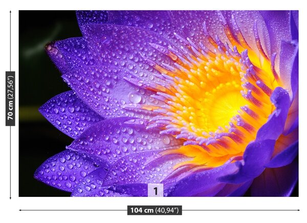 Fototapet Purple Lotus