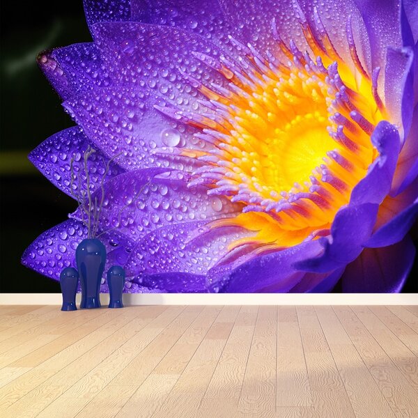 Fototapet Purple Lotus