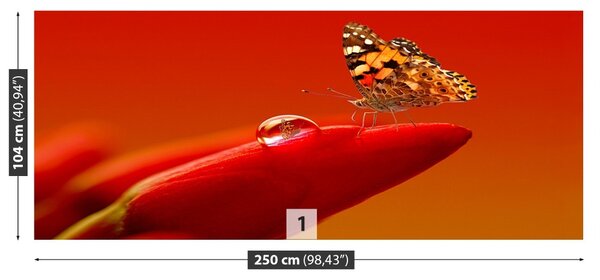 Fototapet Butterfly Tulip