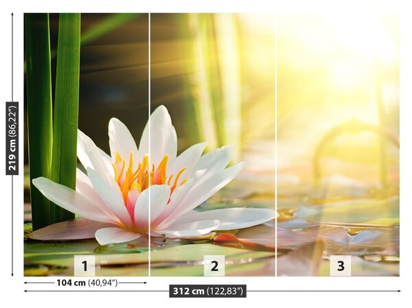 Fototapet Lotos Pond