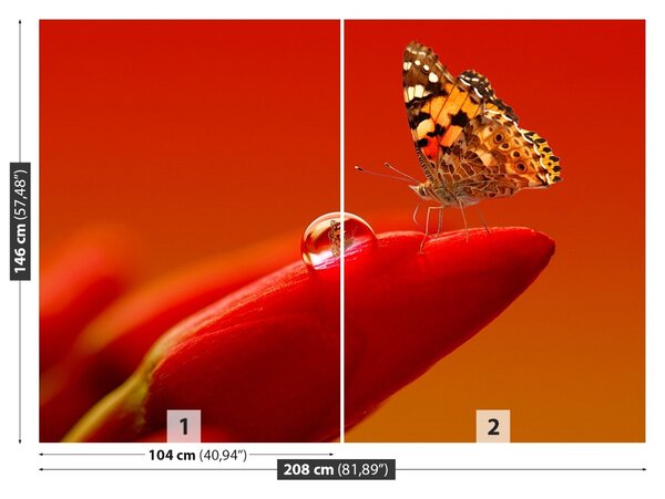 Fototapet Butterfly Tulip