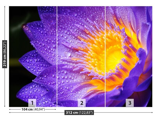 Fototapet Purple Lotus