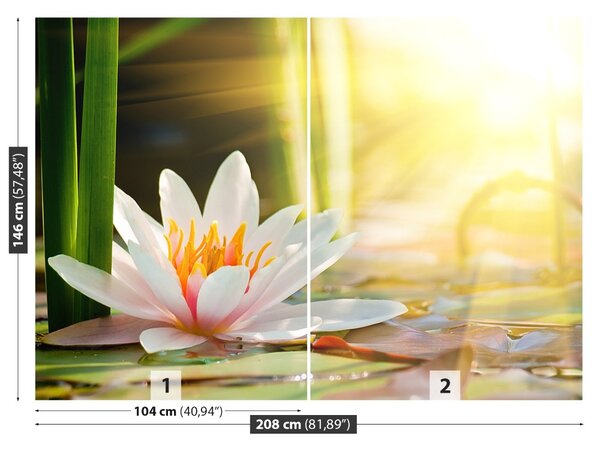 Fototapet Lotos Pond