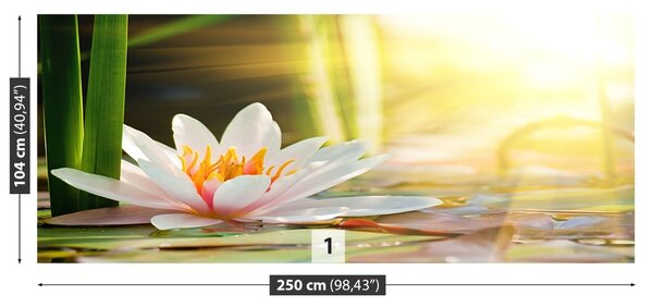 Fototapet Lotos Pond