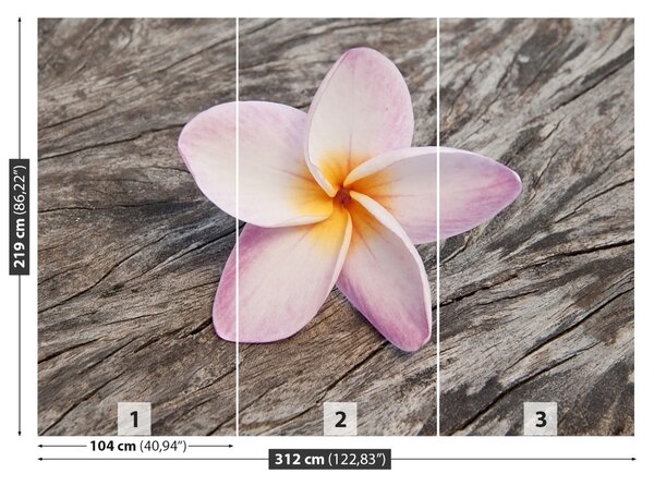 Fototapet frangipani din lemn