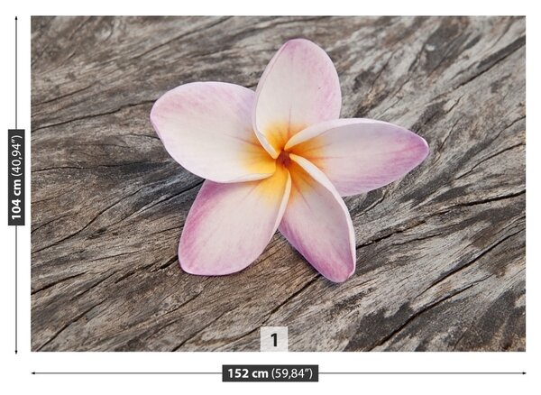 Fototapet frangipani din lemn