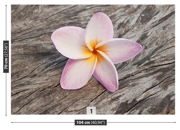 Fototapet frangipani din lemn