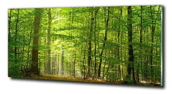 Tablou sticlă pădure de foioase