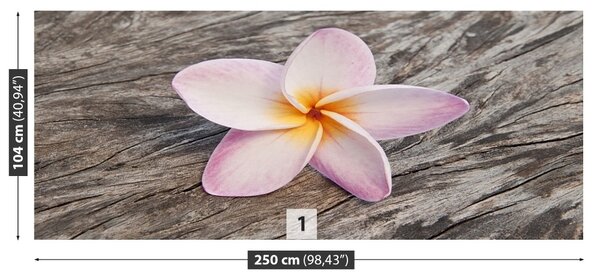 Fototapet frangipani din lemn
