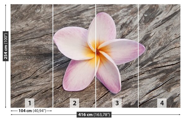 Fototapet frangipani din lemn