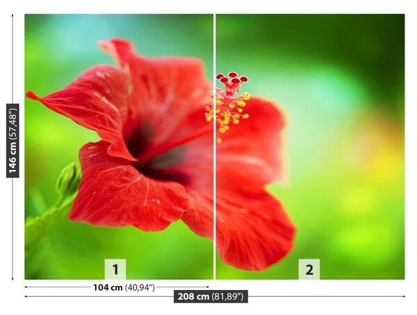 Fototapet Hibiscus roşu
