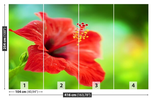 Fototapet Hibiscus roşu